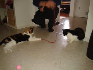 2012-07-15 15.30.47.jpg