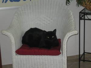 öhrchen und mehr 005.jpg