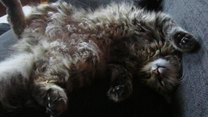 IMG_8623.jpg IMG_8623.jpg