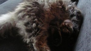 IMG_8626.jpg IMG_8626.jpg