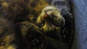 IMG_8639.jpg IMG_8639.jpg