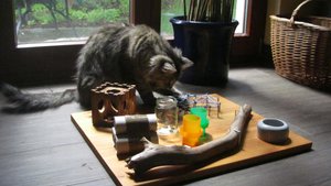 IMG_8681.jpg IMG_8681.jpg