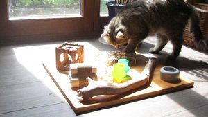 IMG_8688.jpg IMG_8688.jpg