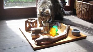 IMG_8689.jpg IMG_8689.jpg