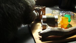 IMG_8696.jpg IMG_8696.jpg