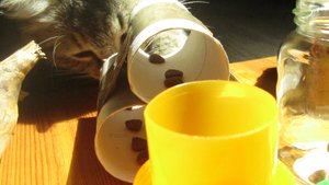 IMG_8706.jpg IMG_8706.jpg