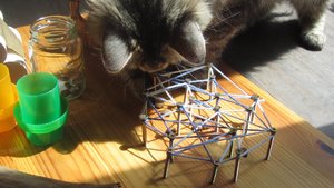 IMG_8719.jpg IMG_8719.jpg