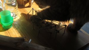 IMG_8723.jpg IMG_8723.jpg