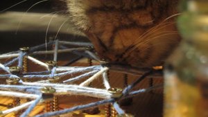 IMG_8731.jpg IMG_8731.jpg