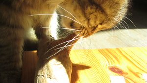 IMG_8739.jpg IMG_8739.jpg