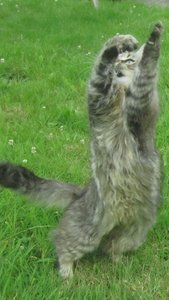 IMG_8787.JPG IMG_8787.JPG