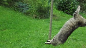 IMG_8788.jpg IMG_8788.jpg