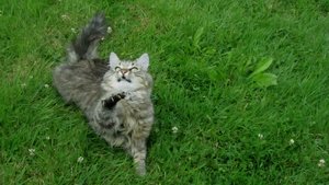 IMG_8794.JPG IMG_8794.JPG