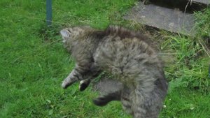 IMG_8797.JPG IMG_8797.JPG