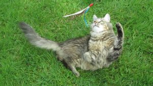 IMG_8802.JPG IMG_8802.JPG