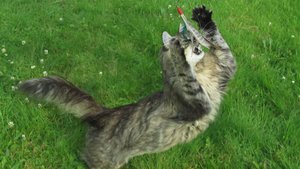 IMG_8821.JPG IMG_8821.JPG