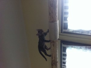 Foto 24.07.12 10 11 42.jpg