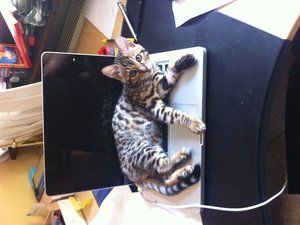 Foto 11.07.12 13 20 29.jpg