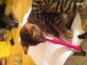 Foto 24.07.12 23 50 15.jpg