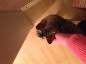 Bilder iPhone bis 30.07.2012 457.jpg