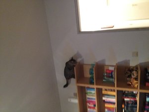 Bilder iPhone bis 30.07.2012 465.jpg