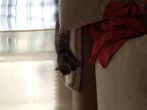 Bilder iPhone bis 30.07.2012 473.jpg