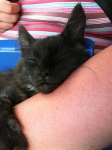 Fussel Heimfahrt 1.jpg