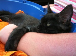 Fussel Heimfahrt 3.jpg