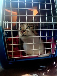 P1022_08-08-12.jpg P1022_08-08-12.jpg