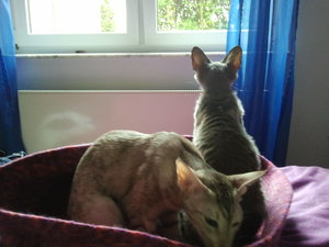 2012-08-08 18.23.42.jpg