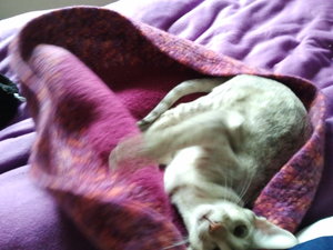 2012-08-08 18.24.59.jpg