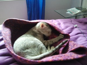 2012-08-08 18.25.53.jpg