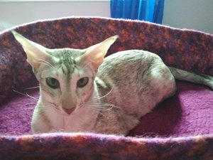 2012-08-08 18.29.25.jpg