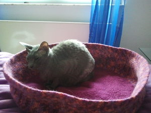 2012-08-08 18.36.21.jpg