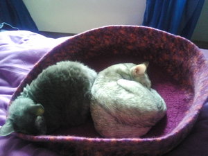 2012-08-08 19.33.20.jpg