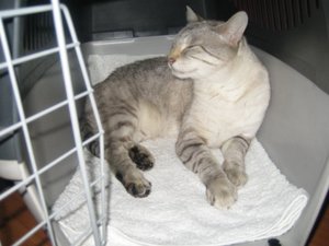 neuer platz vom diggen 002.jpg