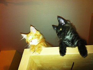 w Kasi & Fussel 01_10-08-12.jpg