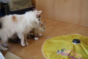 Ich weiss genau, da ist was.jpg