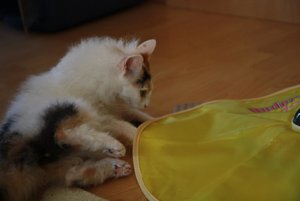 10-Dich krieg ich.jpg