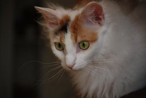 16-Irgendwie ist das komisch.jpg