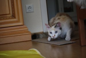 17-Ich krieg dich.jpg