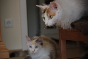 18-Komisches Dings.jpg