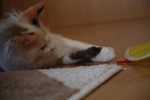 19-Ich brauche eine Pause.jpg