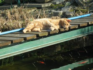 Minki, Bonny und Berry 164.jpg