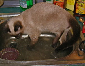 laternen + minas 035.jpg