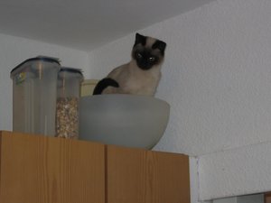 minas bad + schrank 005.jpg