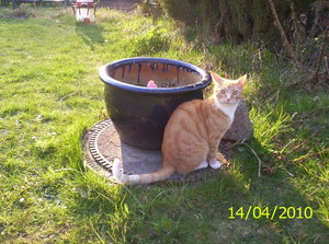 Schatten tut gut.JPG