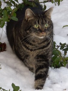 Winterwounderland II.Dez.2009 021.JPG