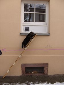 Winterwounderland II.Dez.2009 028.jpg