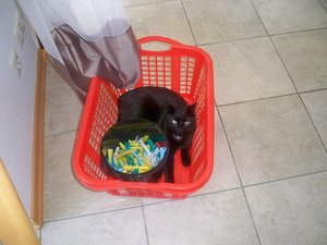 100_1249 - Kopie.jpg 100_1249 - Kopie.jpg